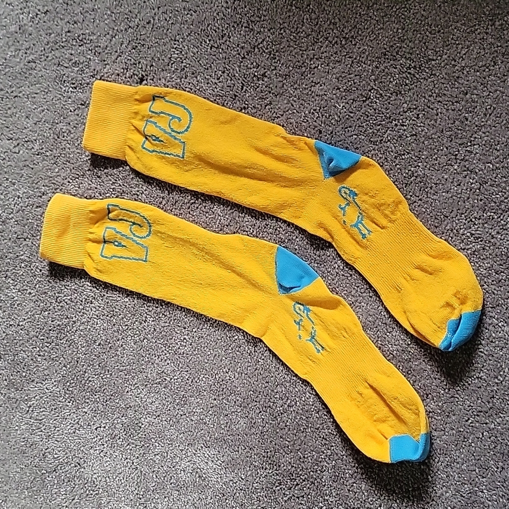 Vance Joy socks